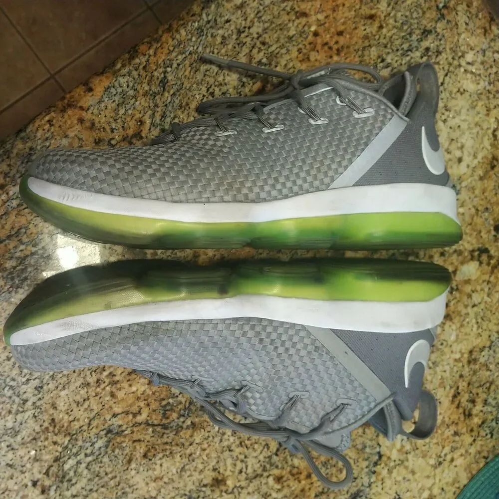 Nike Air Zoom Max LeBron James XIV 14 Low Dunkman Dust Reflect Silver 878636 005